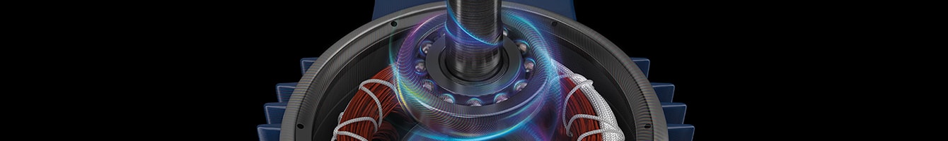Electric motor using SHC grease